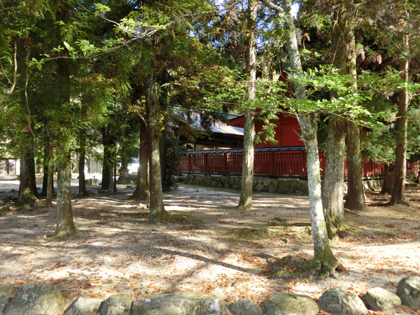 f:id:inudenchi:20190510213824j:plain