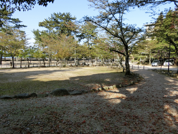 f:id:inudenchi:20190510213838j:plain