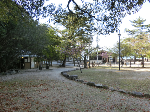 f:id:inudenchi:20190510213851j:plain