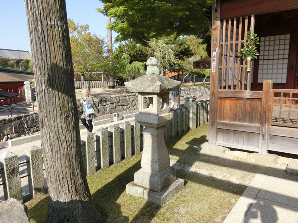 f:id:inudenchi:20190511195310j:plain