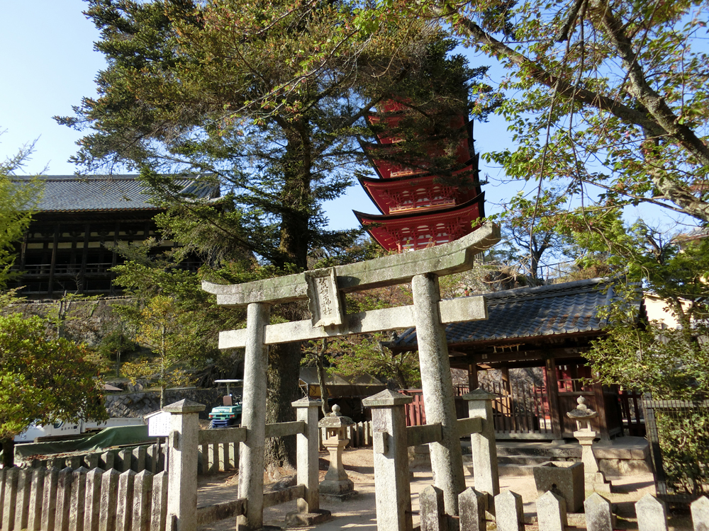 f:id:inudenchi:20190513215810j:plain