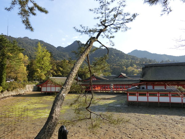 f:id:inudenchi:20190513215843j:plain