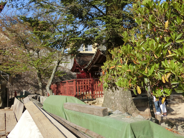 f:id:inudenchi:20190513220354j:plain