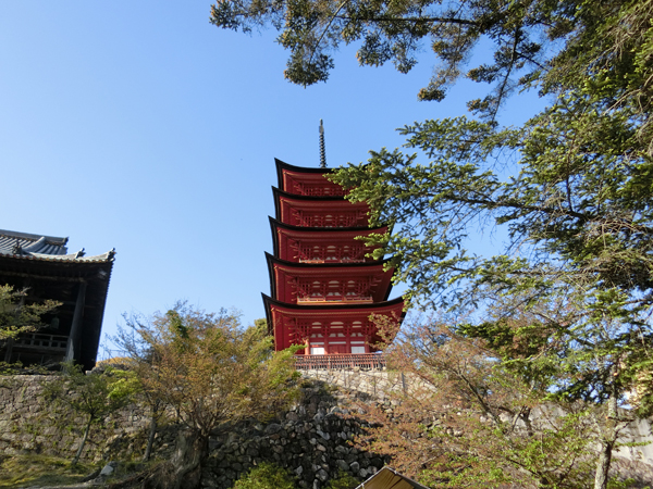 f:id:inudenchi:20190513220412j:plain