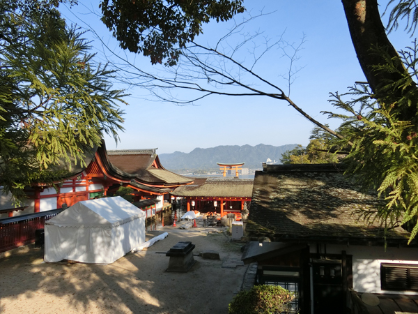 f:id:inudenchi:20190525203028j:plain