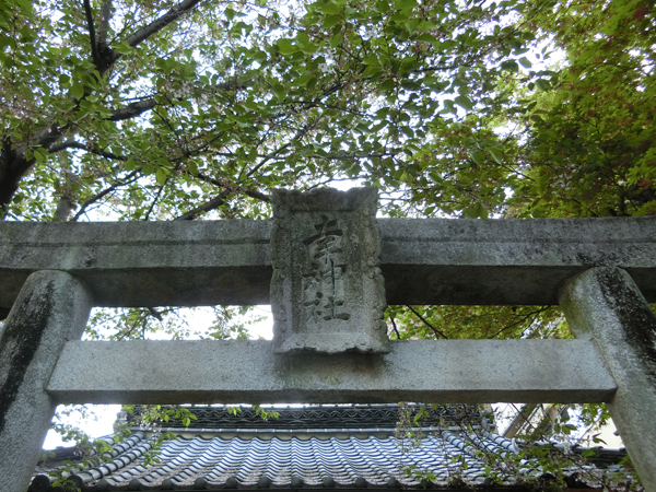 f:id:inudenchi:20190525203300j:plain
