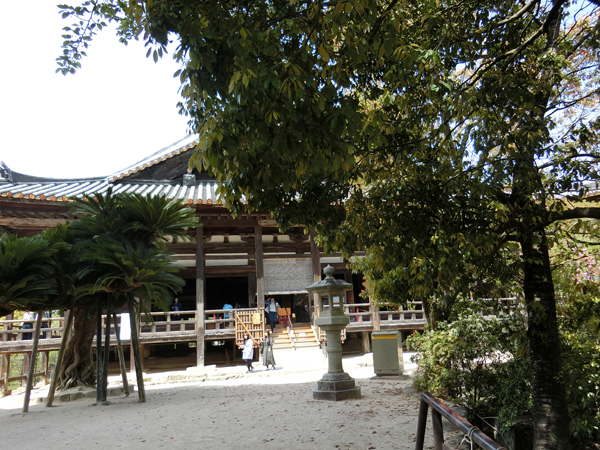 f:id:inudenchi:20190526183651j:plain