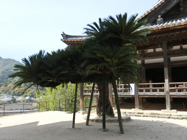 f:id:inudenchi:20190526183737j:plain