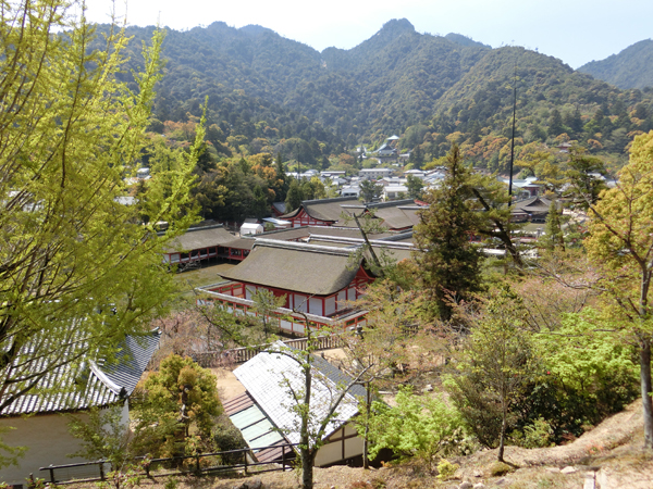 f:id:inudenchi:20190526184444j:plain