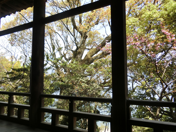 f:id:inudenchi:20190526184533j:plain