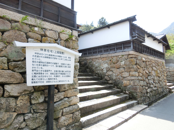 f:id:inudenchi:20190528205213j:plain