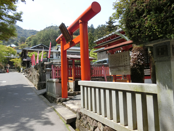 f:id:inudenchi:20190528205303j:plain