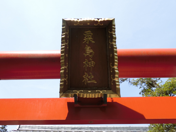 f:id:inudenchi:20190528205430j:plain