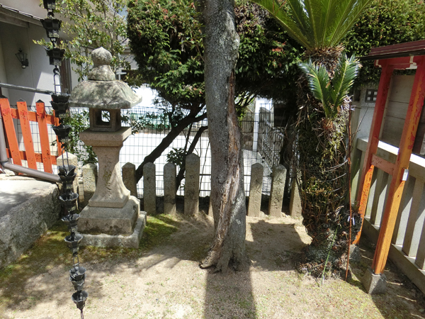 f:id:inudenchi:20190528205534j:plain