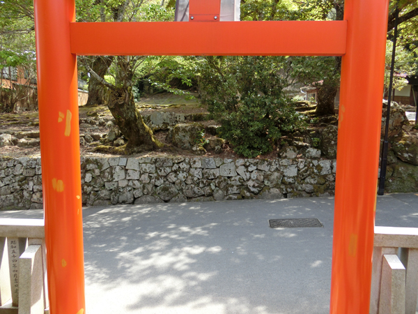 f:id:inudenchi:20190528205739j:plain