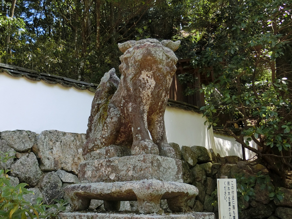 滝宮神社の左の狛犬