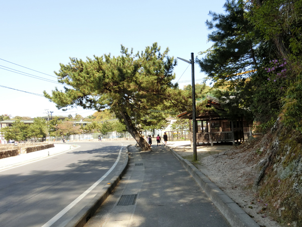 f:id:inudenchi:20190605184732j:plain