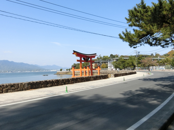 f:id:inudenchi:20190605184744j:plain