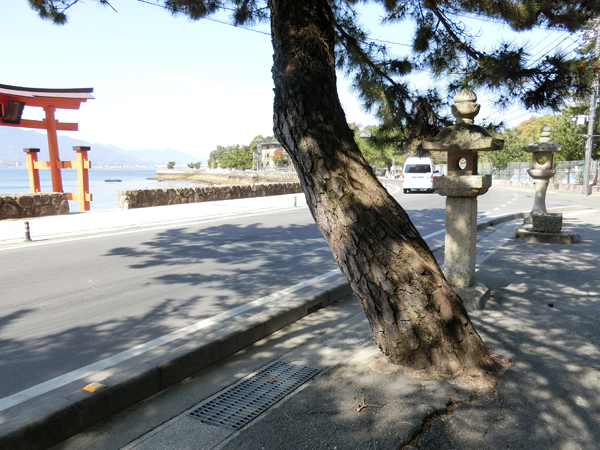 f:id:inudenchi:20190605184821j:plain