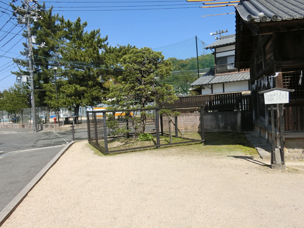 f:id:inudenchi:20190605185119j:plain