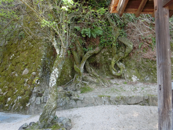 f:id:inudenchi:20190605185343j:plain