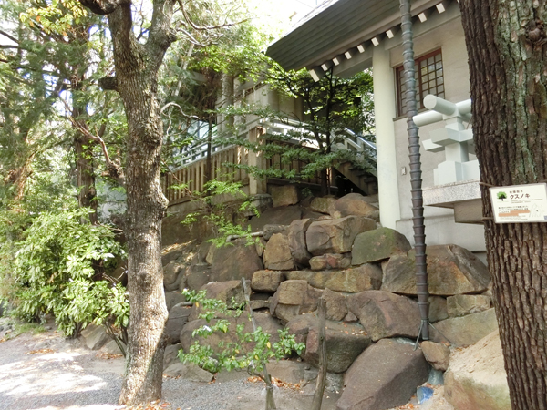 白神社の岩礁