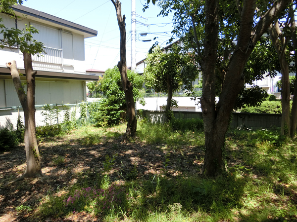 f:id:inudenchi:20190616212742j:plain