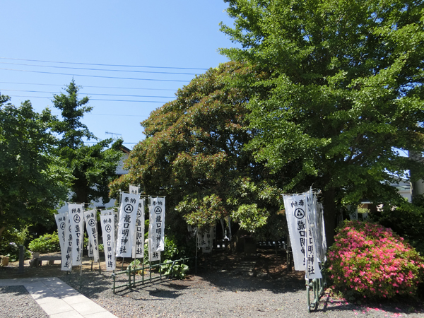 f:id:inudenchi:20190616231537j:plain f:id:inudenchi:20190616231537j:plain