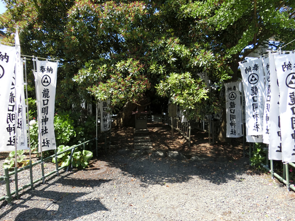 f:id:inudenchi:20190616231600j:plain f:id:inudenchi:20190616231600j:plain