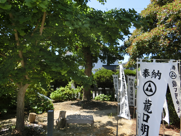 f:id:inudenchi:20190616231738j:plain f:id:inudenchi:20190616231738j:plain