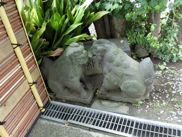 麻布氷川神社の狛犬