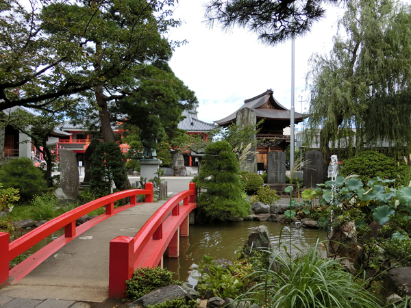 f:id:inudenchi:20190915213431j:plain