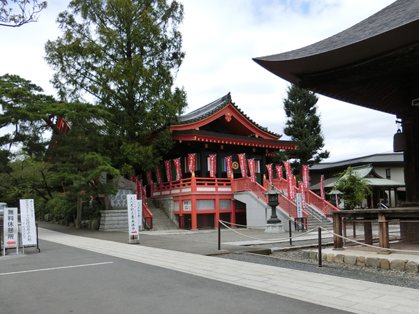 f:id:inudenchi:20190915213516j:plain