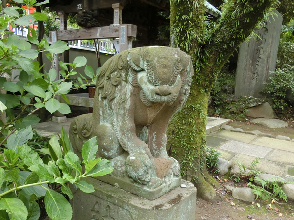 f:id:inudenchi:20190915221729j:plain