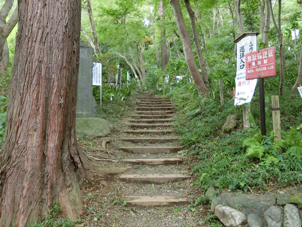 f:id:inudenchi:20190916164957j:plain