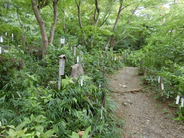 f:id:inudenchi:20190916165028j:plain