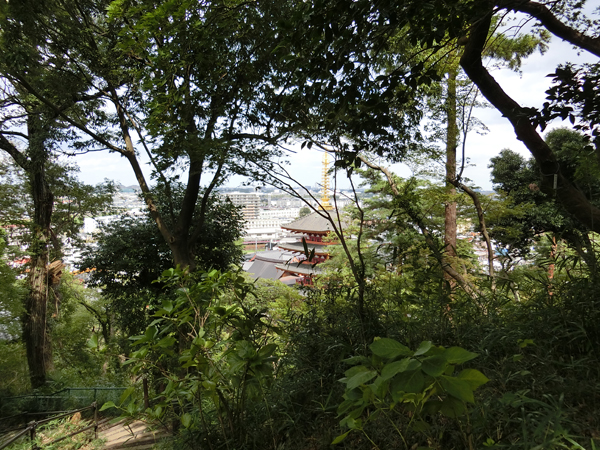 f:id:inudenchi:20190916165121j:plain