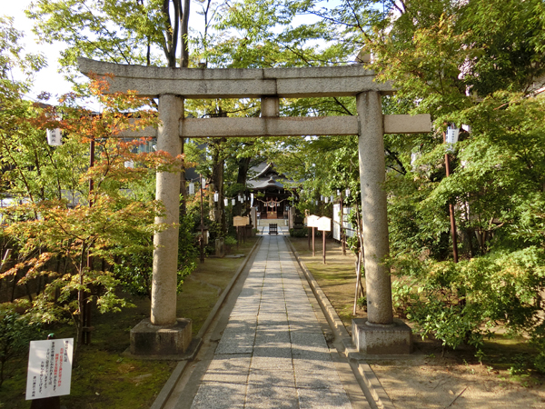 f:id:inudenchi:20191019181153j:plain