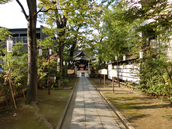 f:id:inudenchi:20191019181206j:plain