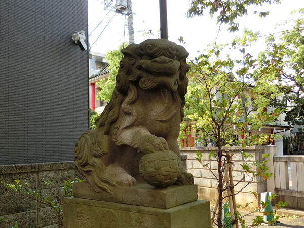 溝口神社の左の狛犬