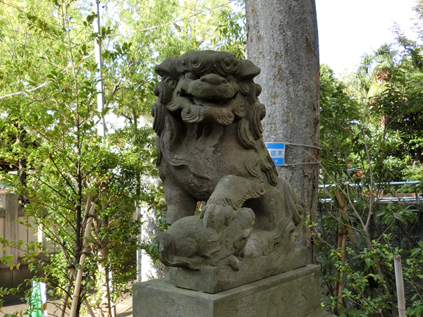 溝口神社の右の狛犬