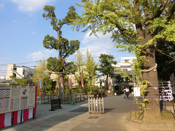 f:id:inudenchi:20191019181540j:plain