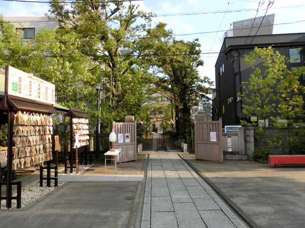 f:id:inudenchi:20191019181743j:plain