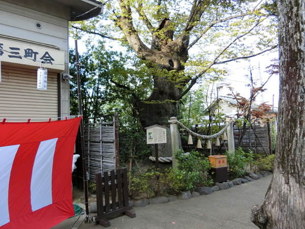 f:id:inudenchi:20191019182008j:plain