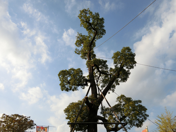 f:id:inudenchi:20191019182927j:plain