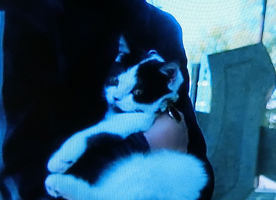 f:id:inudenchi:20191024005527j:plain