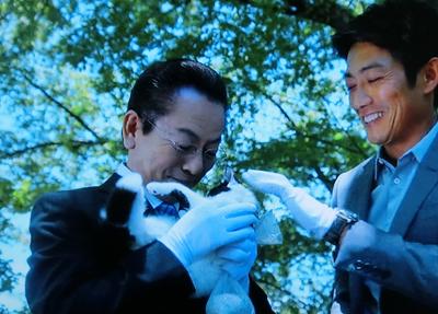 f:id:inudenchi:20191024005810j:plain