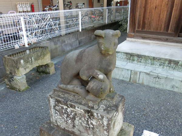 "矢野口稲荷神社の狐