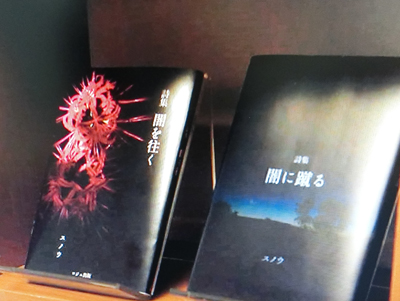 f:id:inudenchi:20191107005830j:plain