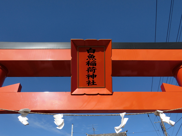 f:id:inudenchi:20191206183117j:plain